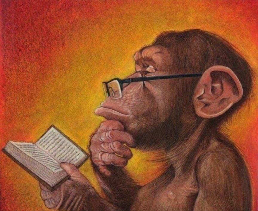 Monkey Thinking deeply with glasses