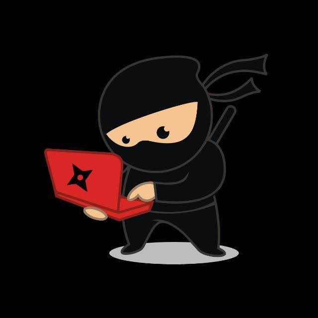 Code ninja with laptop