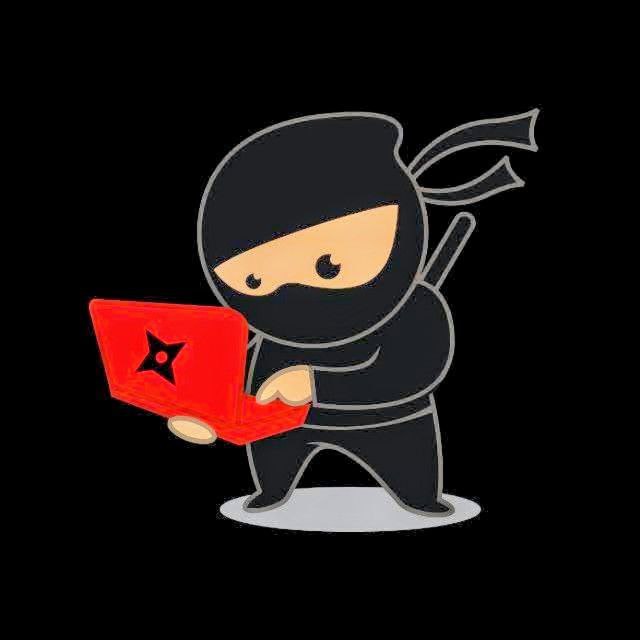 Code ninja with laptop enhanced gray