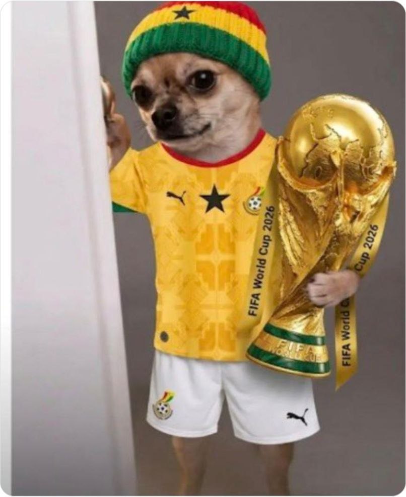 Ghana puppy holding the world cup trophy