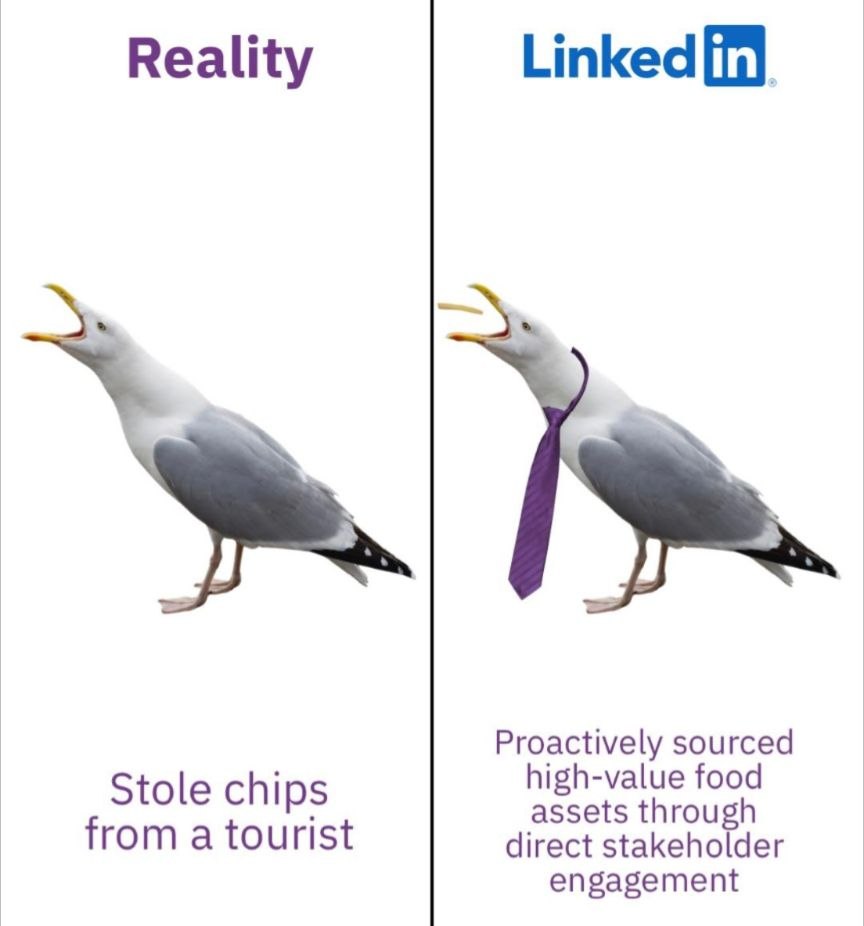 Seagull Version Reality VS LinkedIn