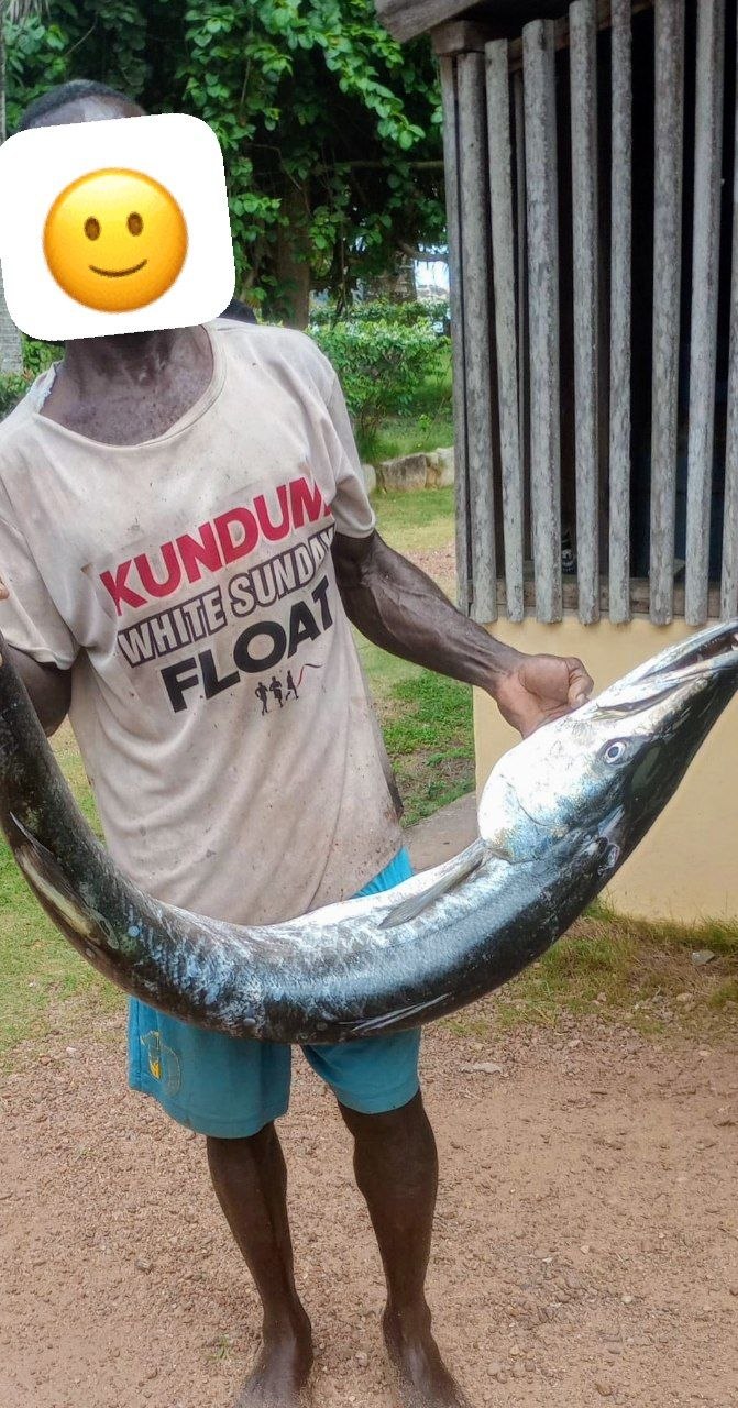 What fish is this? Strange things to do with AI